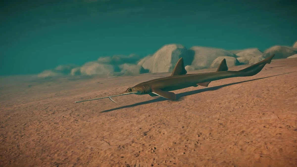 Planet Zoo — New species - sixgill sawshark