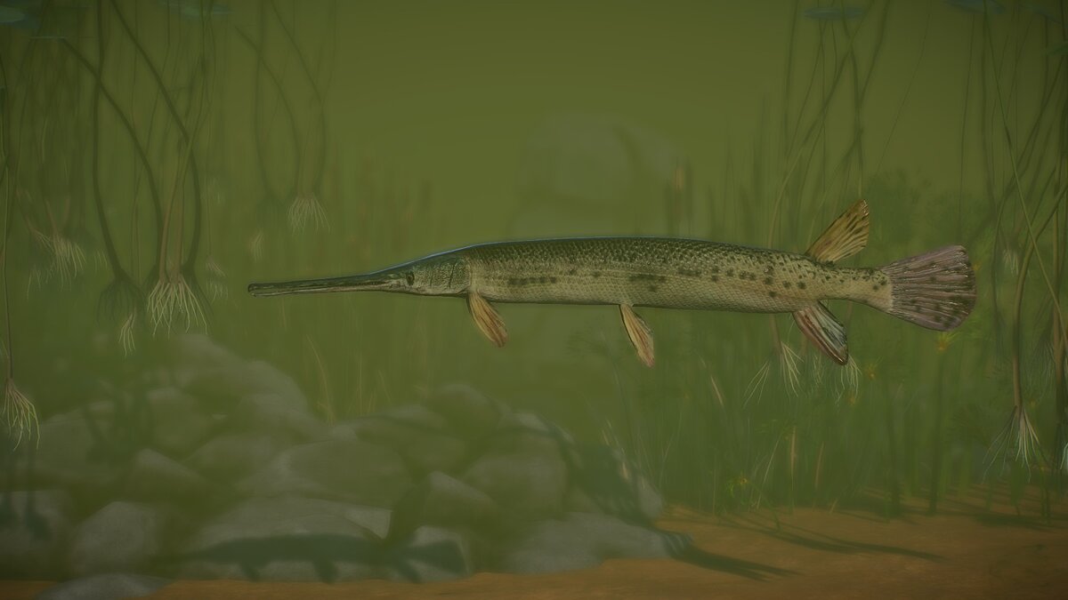 Planet Zoo — Longnose pike - new species