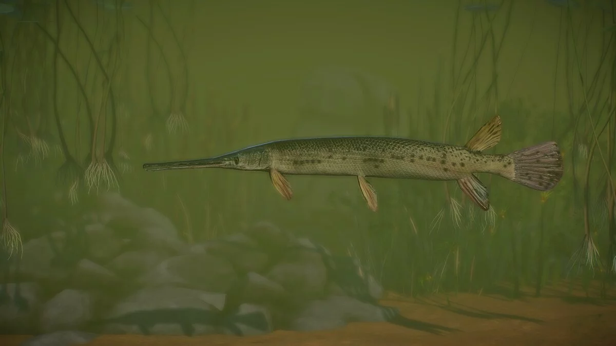 Planet Zoo — Longnose pike - new species