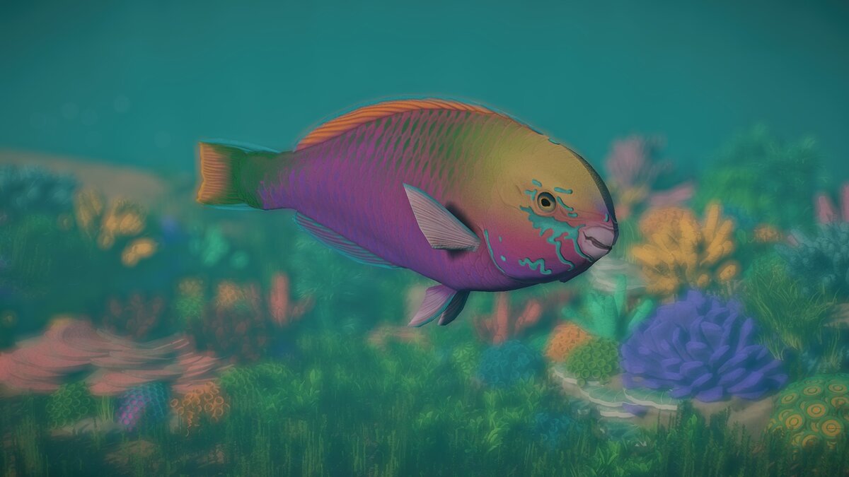 Planet Zoo — Quoya's parrotfish - new species