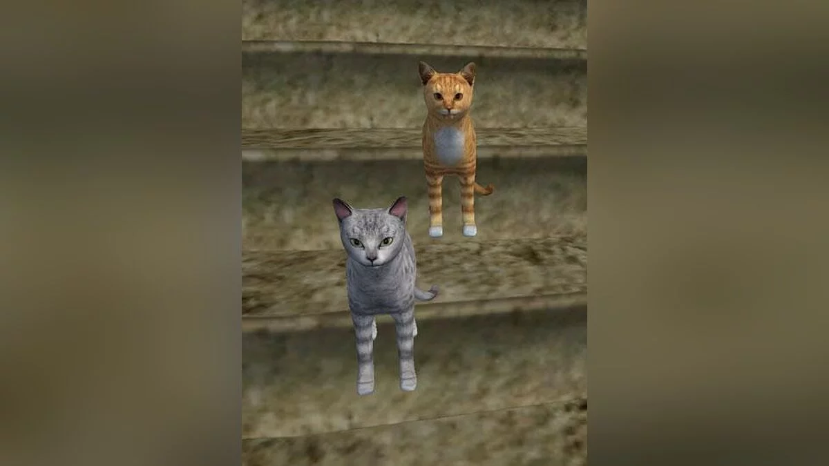 Elder Scrolls 3: Morrowind — gatos de compañía