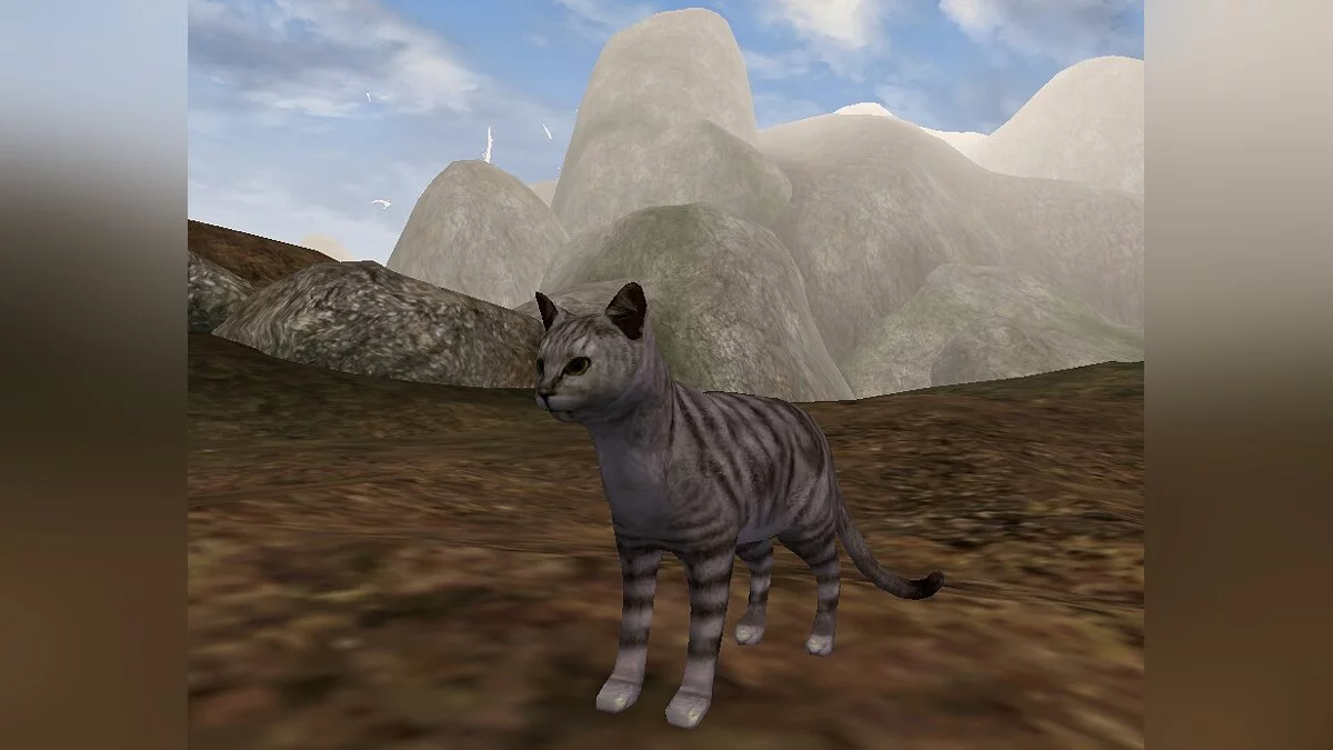 Elder Scrolls 3: Morrowind — Striped cat