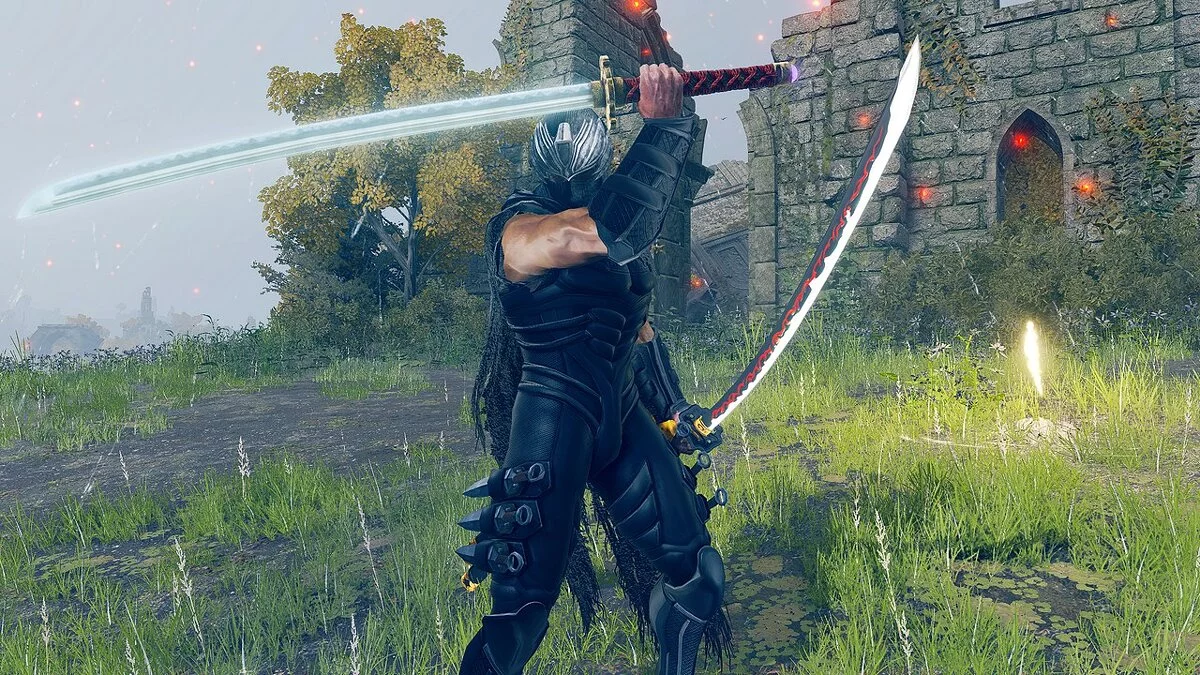 Elden Ring — Ryu Hayabusa from the game Ninja Gaiden