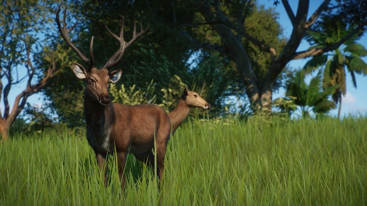 Planet Zoo — Nuevos tipos - barasinga