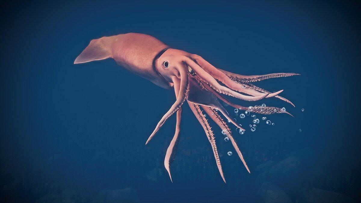 Planet Zoo — New species - Humboldt squid