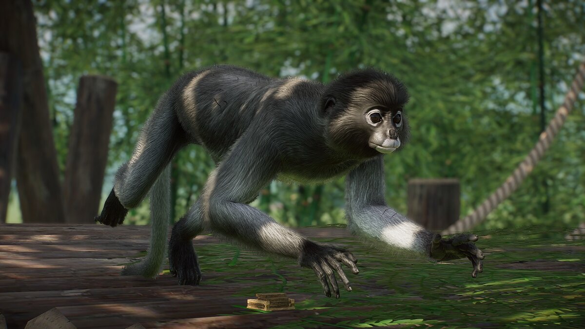 Planet Zoo — New species - dark leaf monkey