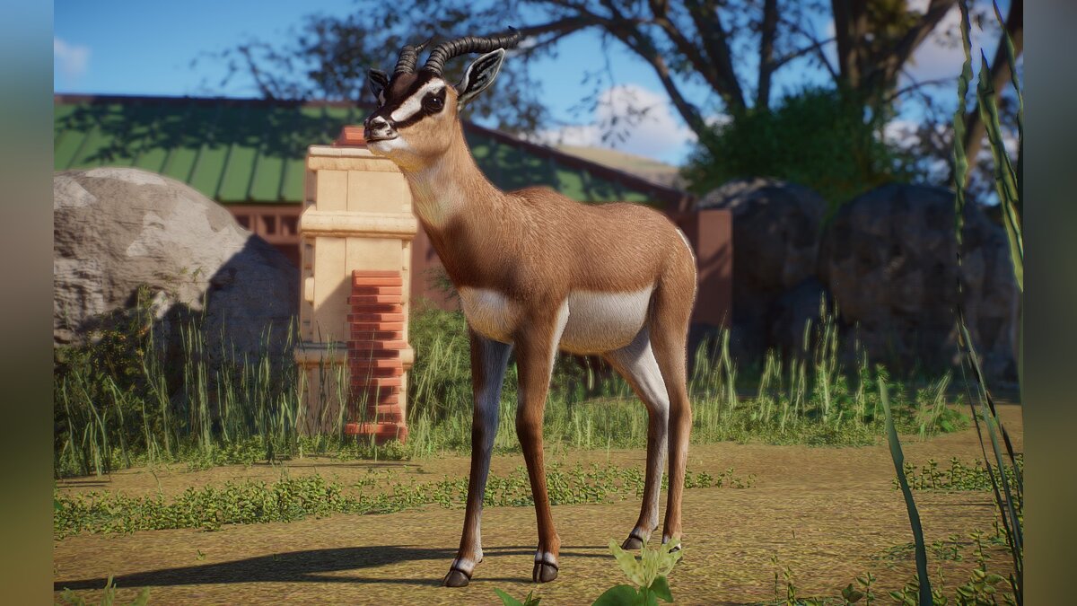 Planet Zoo — Sommering's gazelle - new species