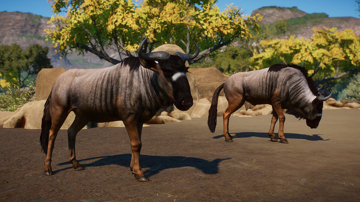 Planet Zoo — Nyassa Wildebeest - new species