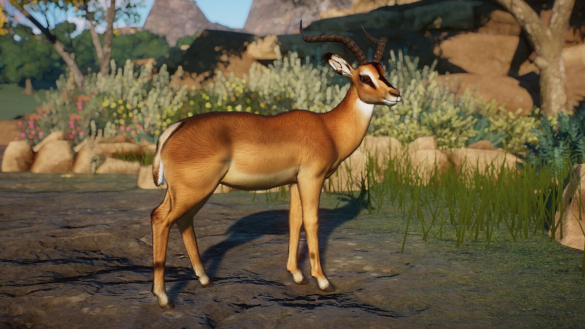 Planet Zoo — Black-faced impala - new species