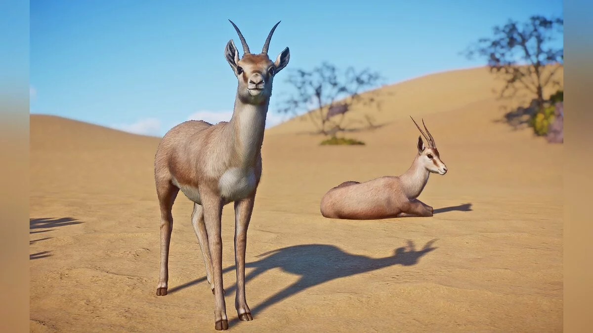 Planet Zoo — Раймская газель -новые виды