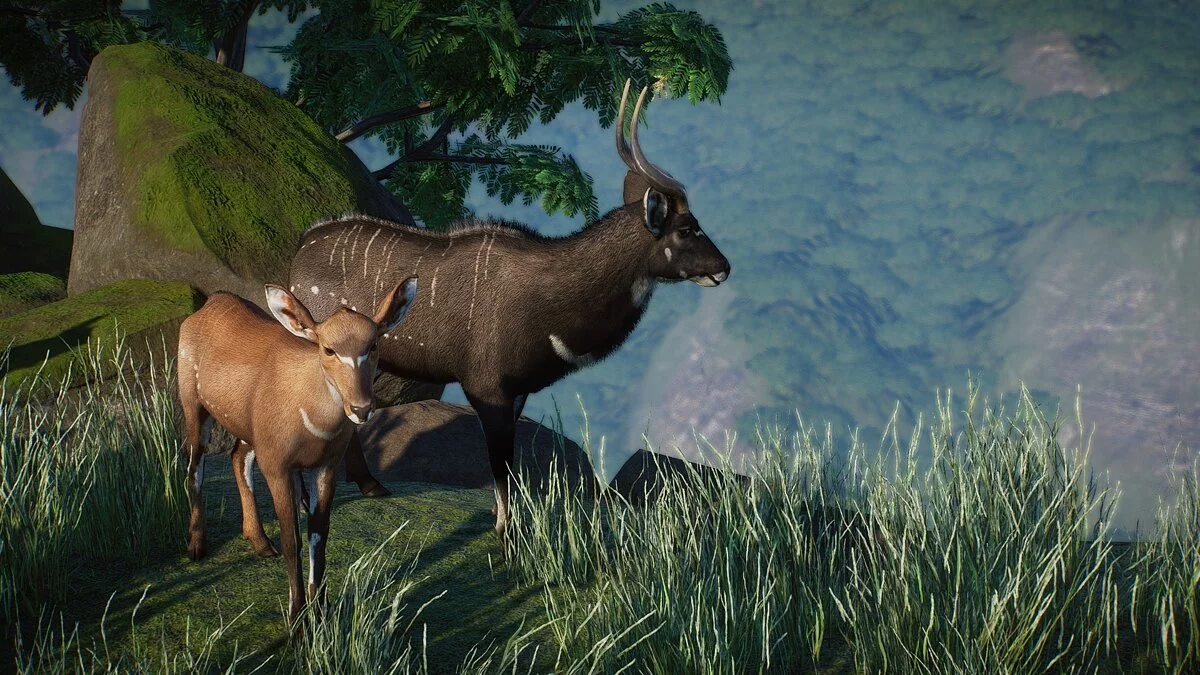 Planet Zoo — New species - gedemsa