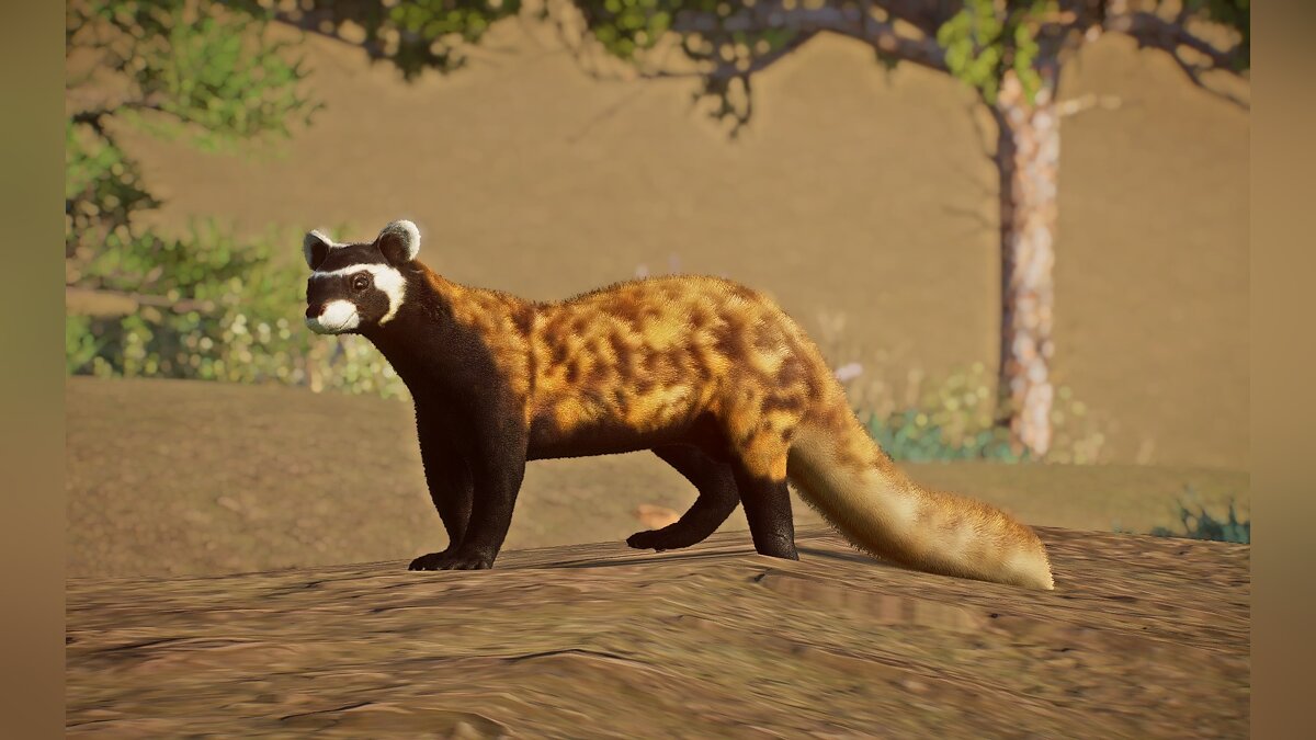 Planet Zoo — New species - marbled ferret