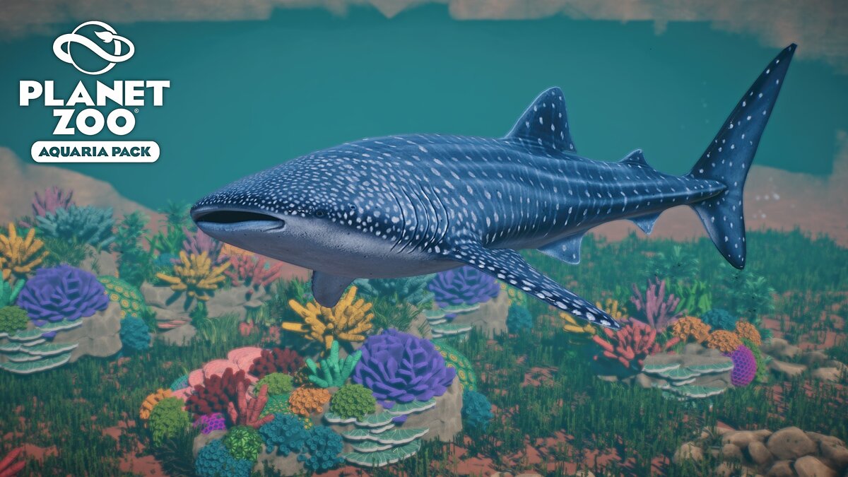 Planet Zoo — Whale shark - new species