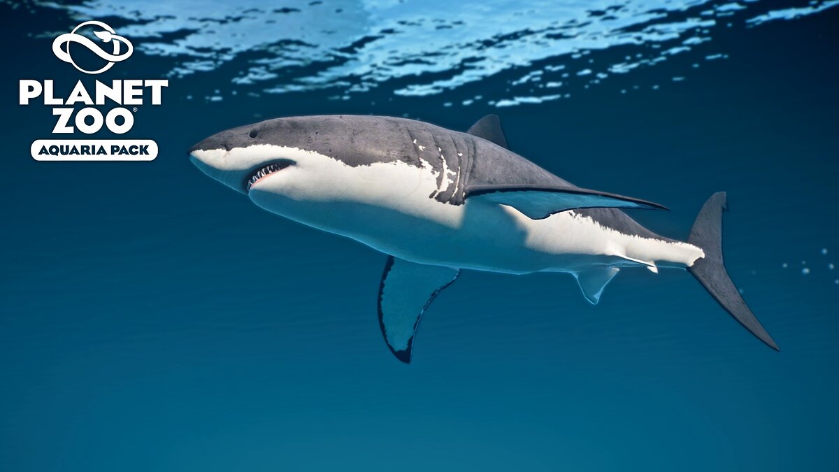 Planet Zoo — Great white shark - new species