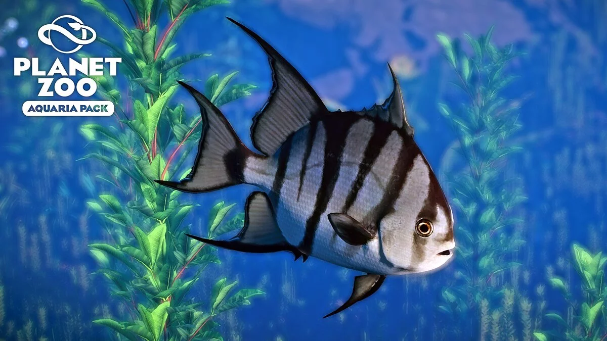 Planet Zoo — Атлантична лопата - нові види