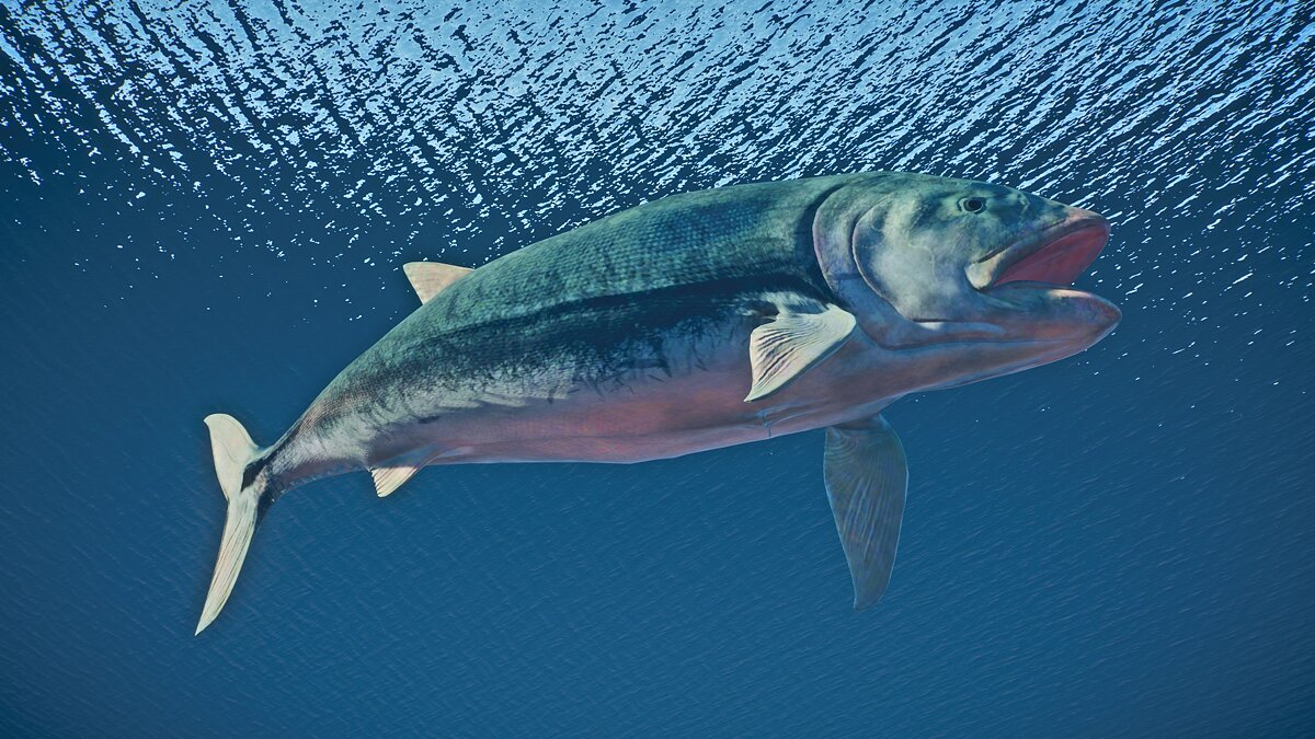 Planet Zoo — Leedsichthys - new species