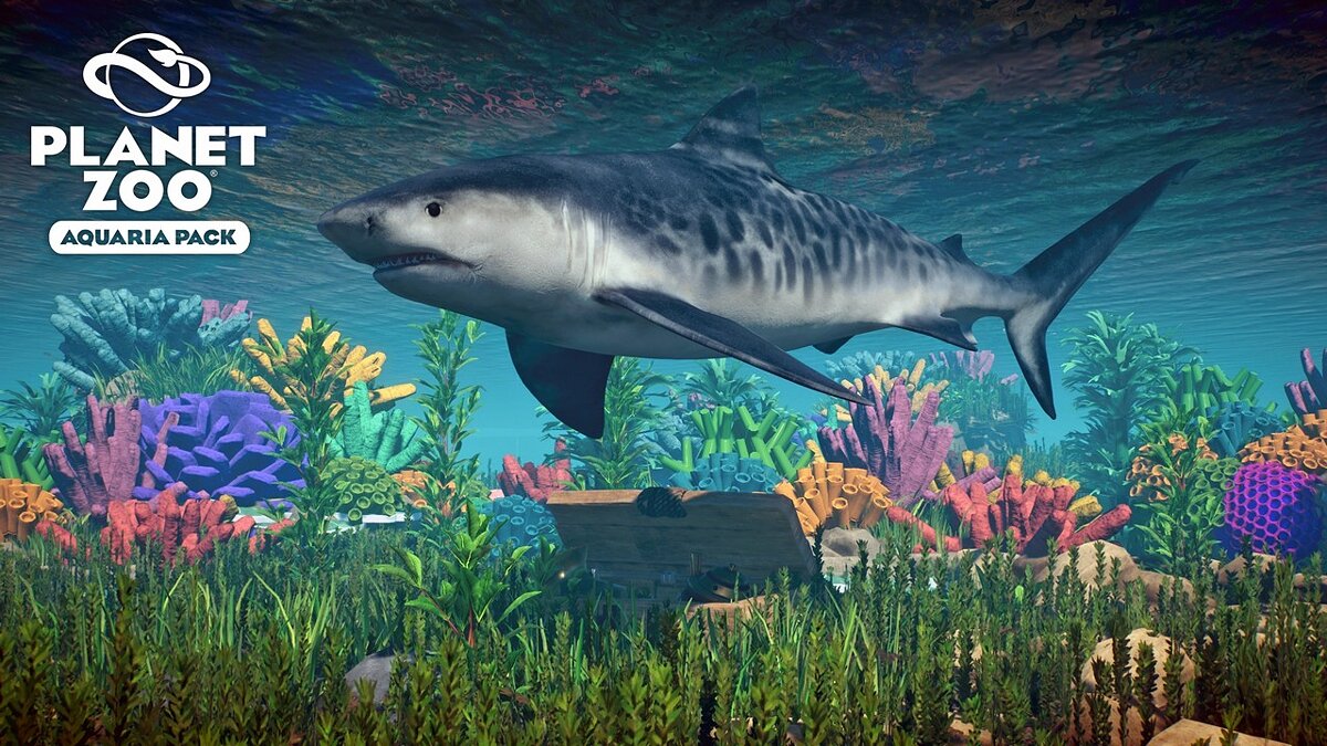 Planet Zoo — Tiger shark - new species