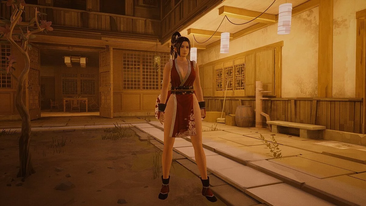 Sifu — Dead or Alive 6 - Май Ширануи