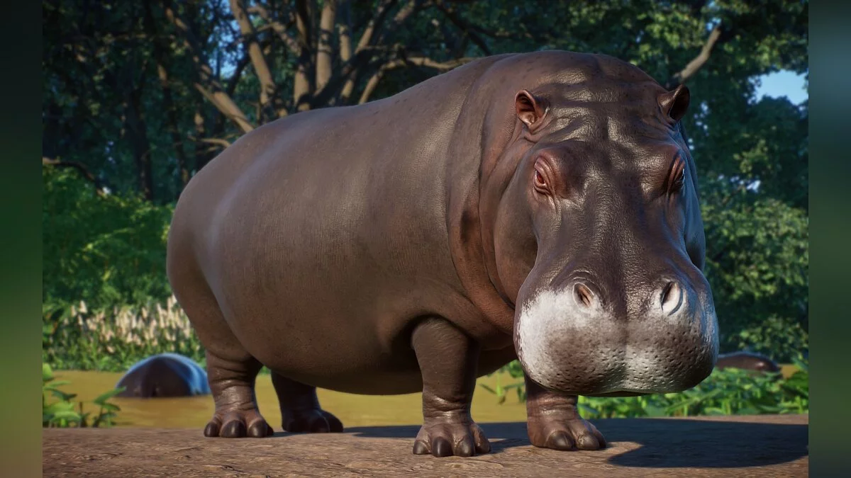 Planet Zoo — Colombian hippopotamus - a new species