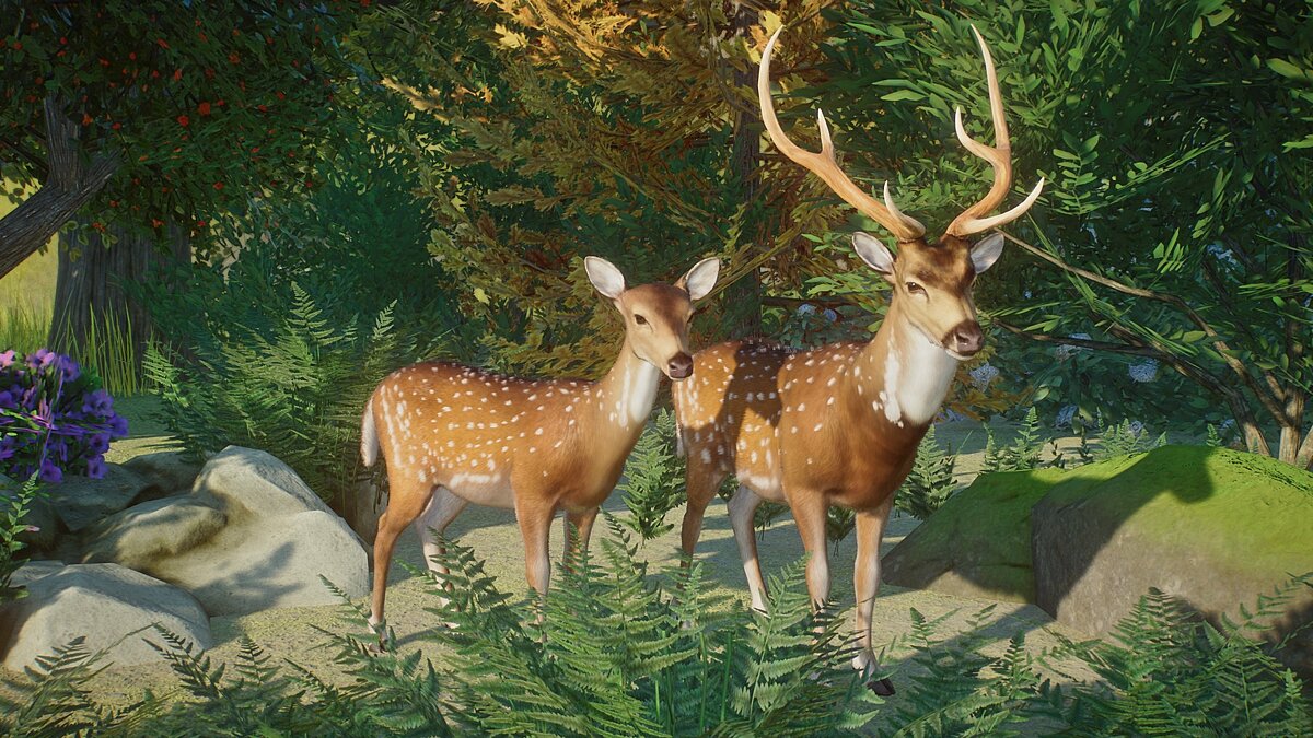 Planet Zoo — New species - chital (axial deer)