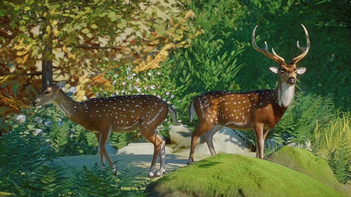 Planet Zoo — Новий вид - читав (осьовий олень)