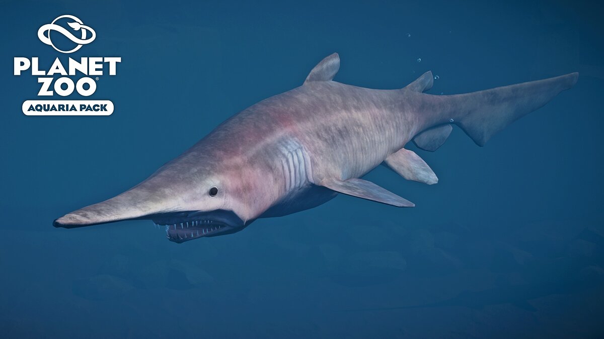 Planet Zoo — Goblin shark - new species