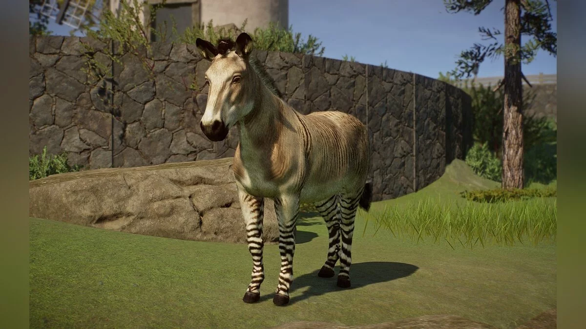 Planet Zoo — Zonki - nueva especie