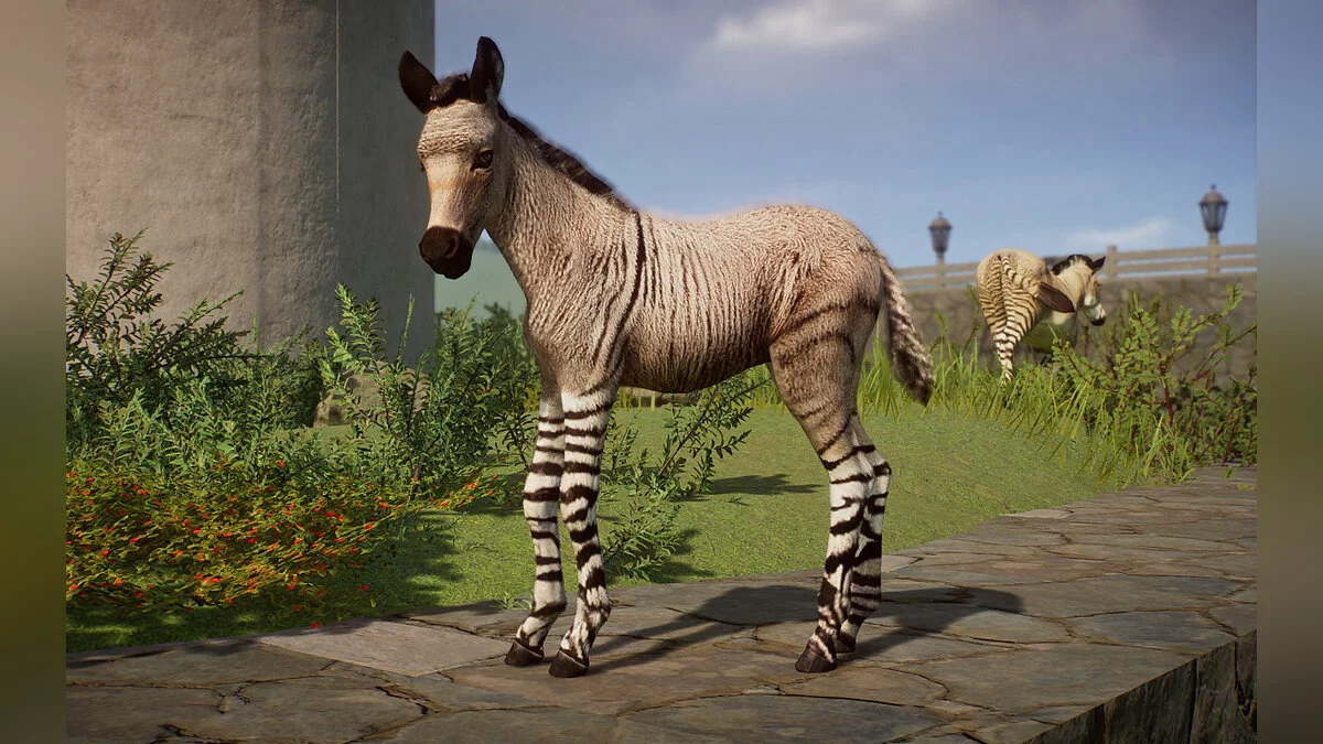 Planet Zoo — Зонки - нові види