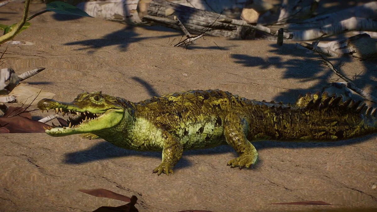 Planet Zoo — Cayman Rio Apaporis - new species