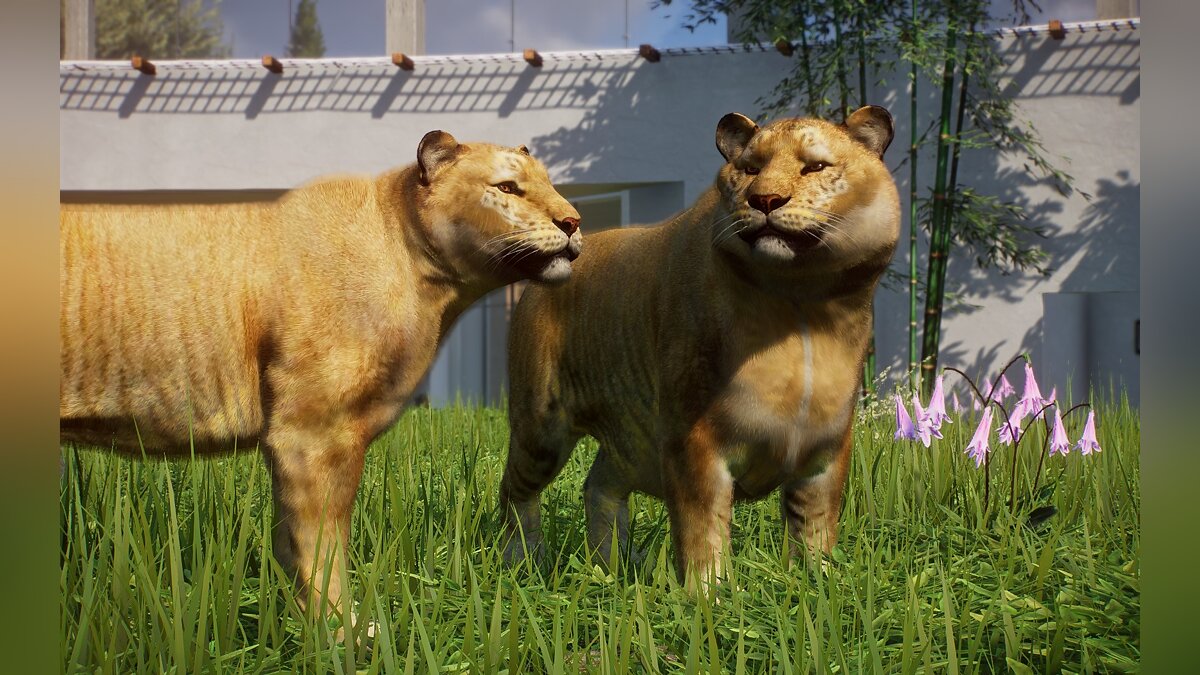 Planet Zoo — Liger - a new species