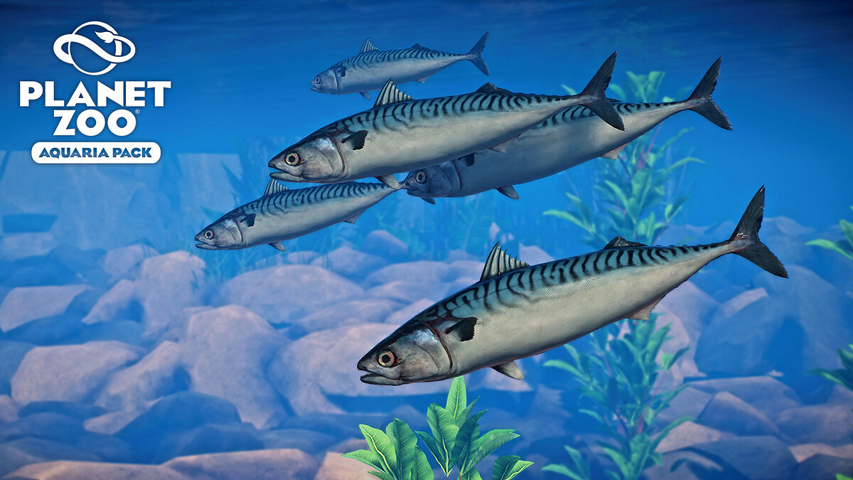 Planet Zoo — Atlantic mackerel - new species