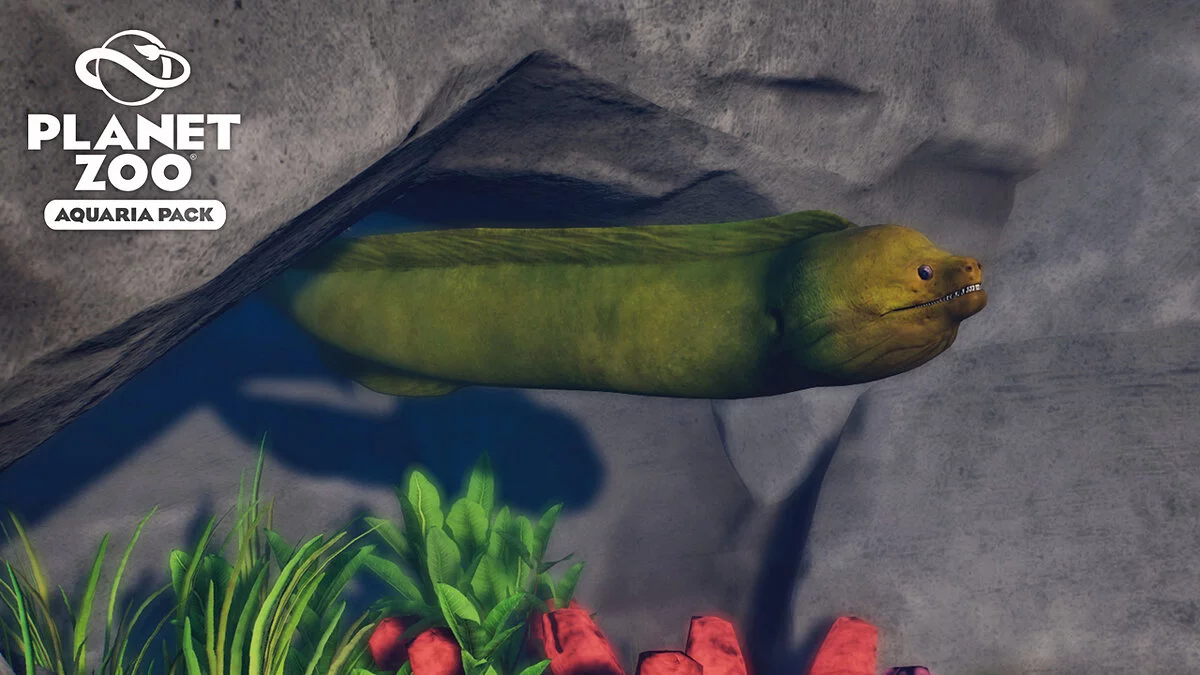 Planet Zoo — Green moray eel - new species