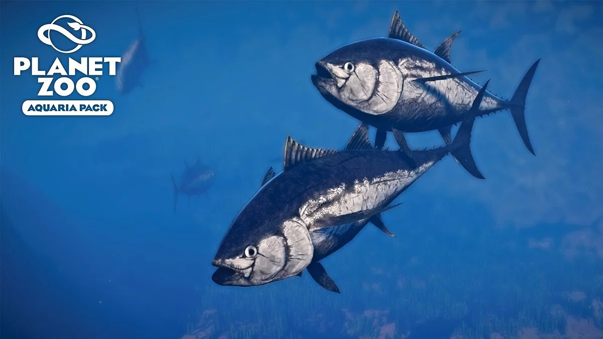 Planet Zoo — Атлантический голубой тунец — новые виды
