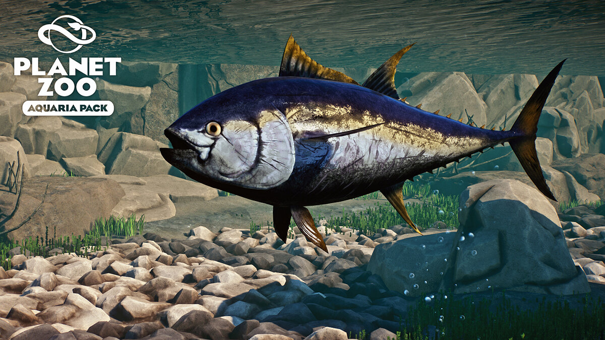 Planet Zoo — Atlantic bluefin tuna - new species