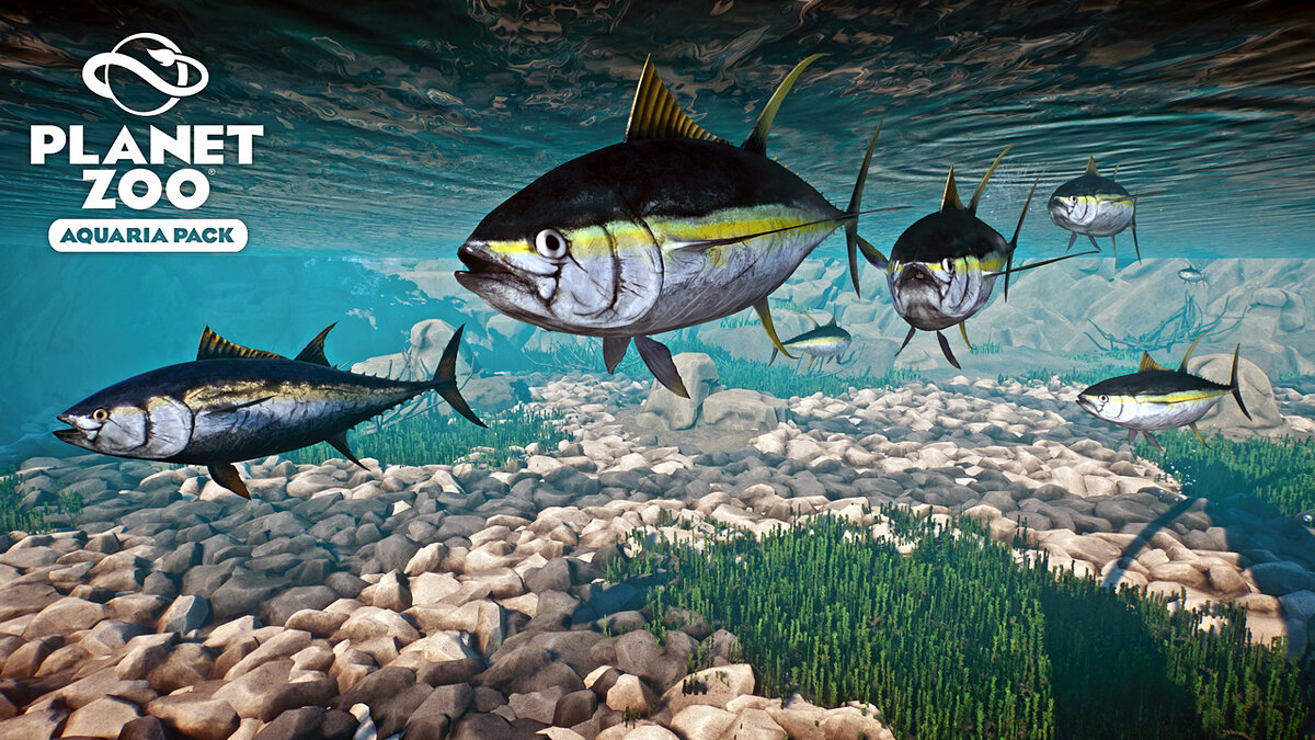 Planet Zoo — Yellowfin tuna - new species