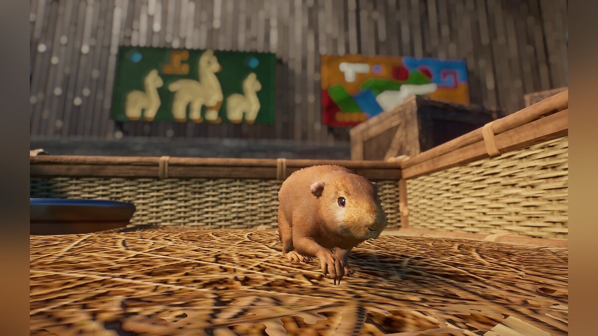 Planet Zoo — Domestic guinea pig - a new species