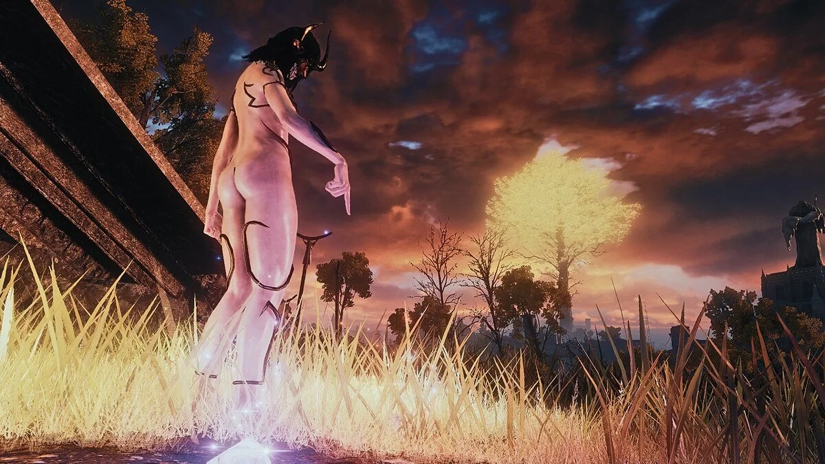 Elden Ring — Блестящее нижнее белье суккуба