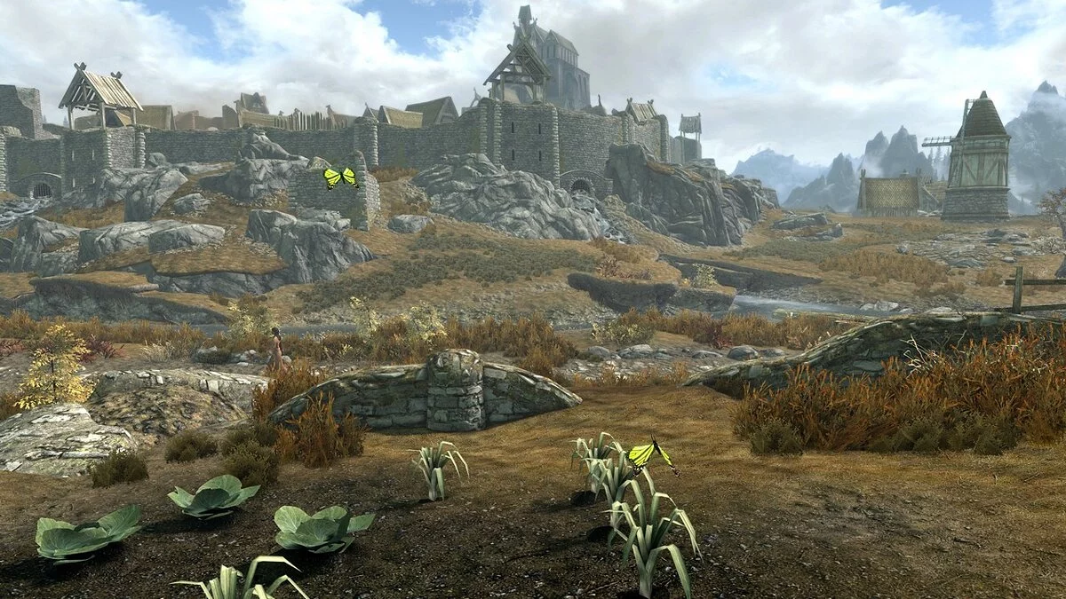 Elder Scrolls 5: Skyrim Special Edition — Два новых варианта бабочки