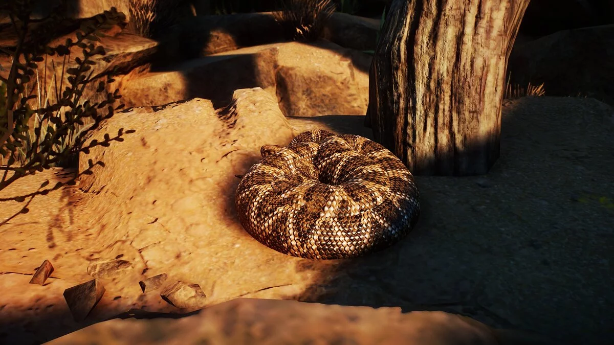 Planet Zoo — Fat rattlesnake