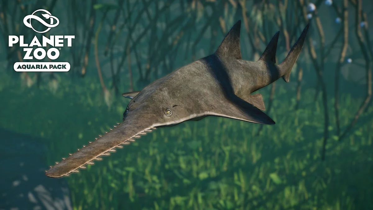 Planet Zoo — Common sawfish - new species