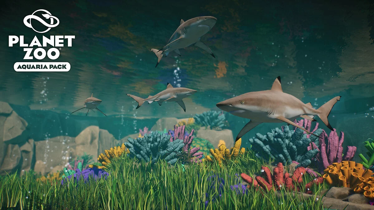 Planet Zoo — Чорнопера рифова акула – нові види
