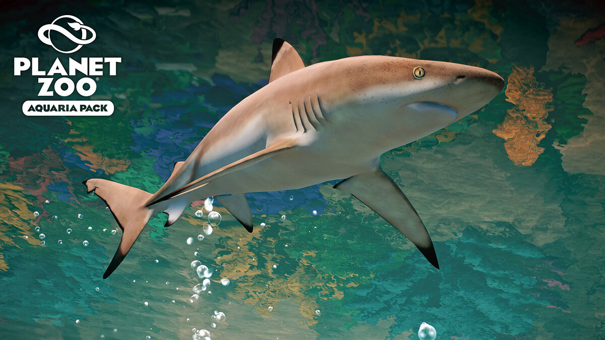 Planet Zoo — Blacktip reef shark - new species