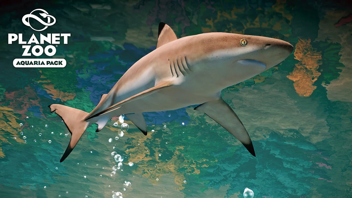 Planet Zoo — Blacktip reef shark - new species