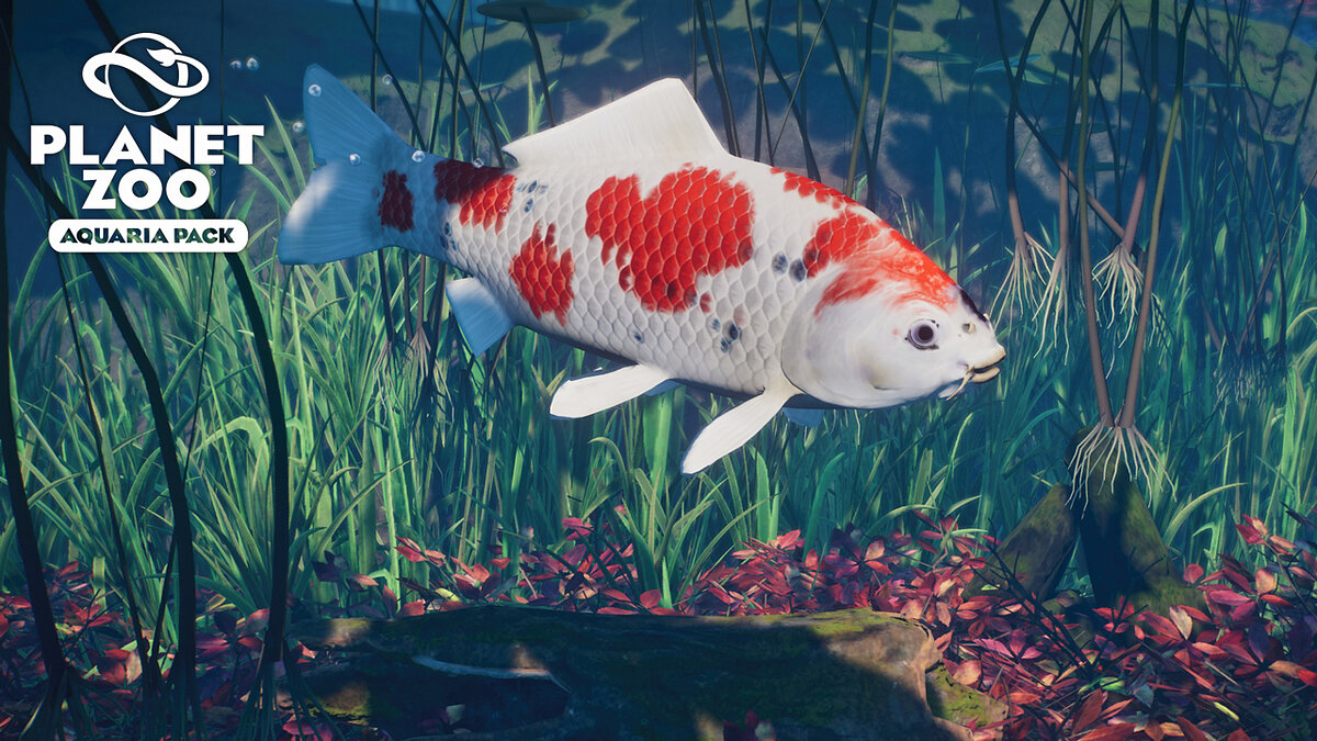 Planet Zoo — Koi - new species