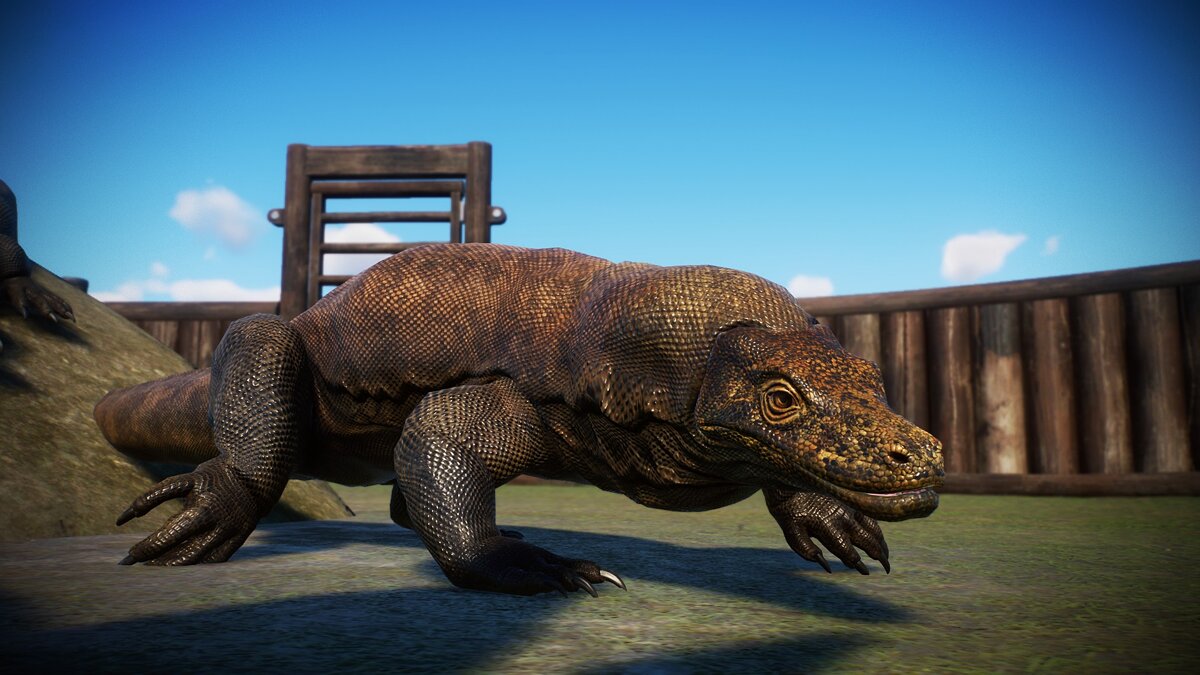 Planet Zoo — Improved Komodo Dragon