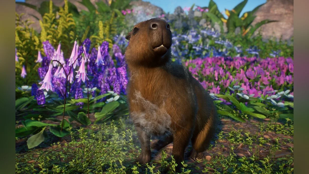 Planet Zoo — El carpincho es amigo de todos.