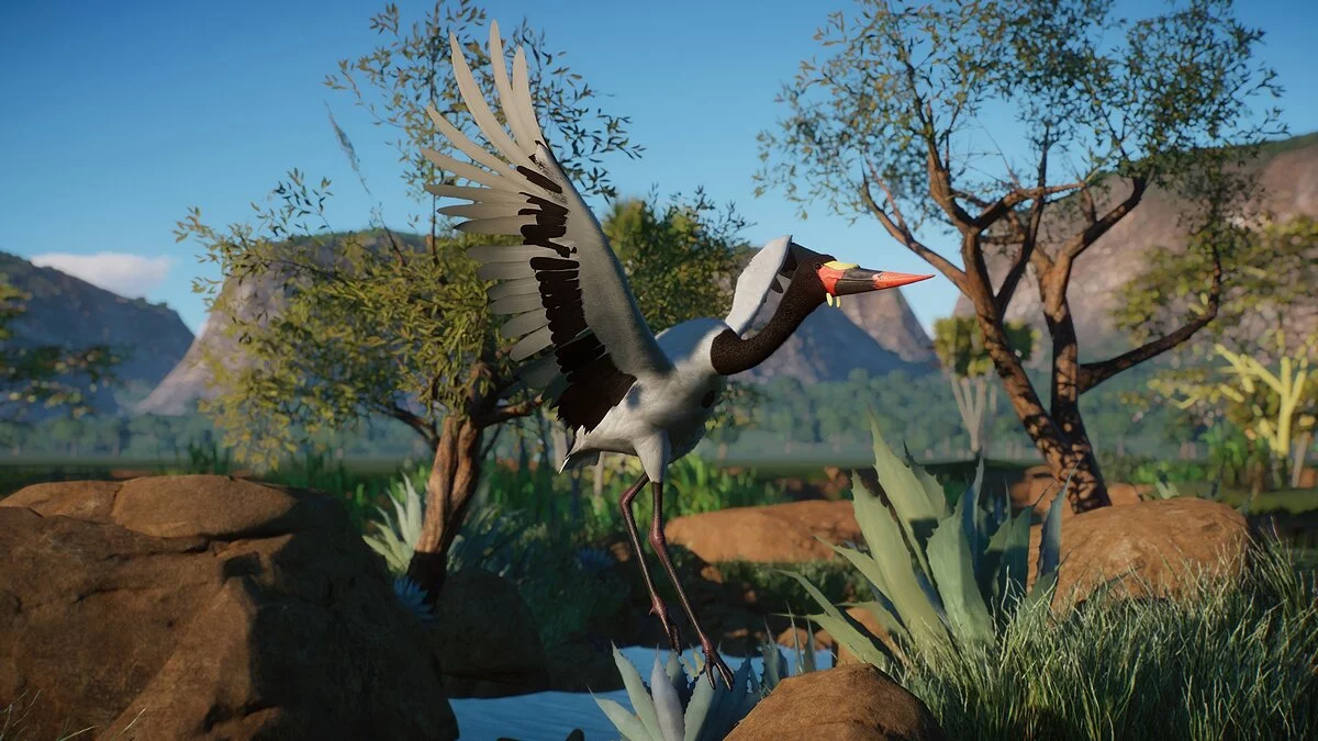 Planet Zoo — Saddle-billed stork - a new species