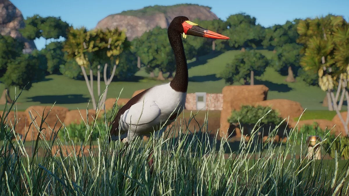 Planet Zoo — Cigüeña pico silla: una nueva especie