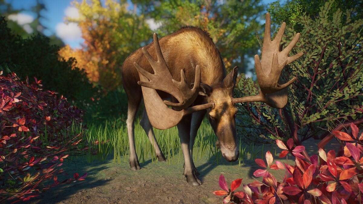 Planet Zoo — Elk-deer - new species