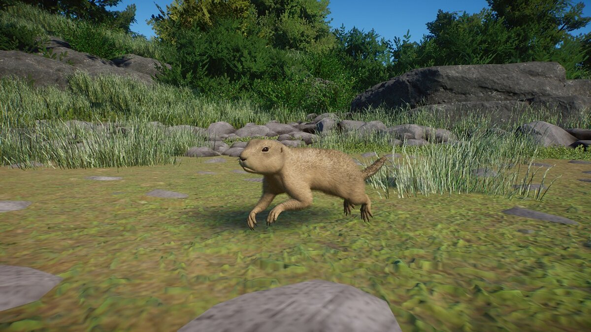 Planet Zoo — European ground squirrel - a new species